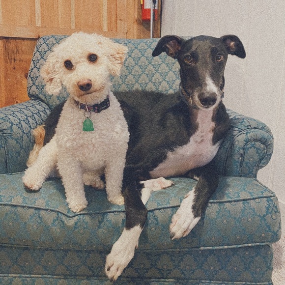 Welcome to my closet! I'm so glad you stopped by! - Picture 4 of 4